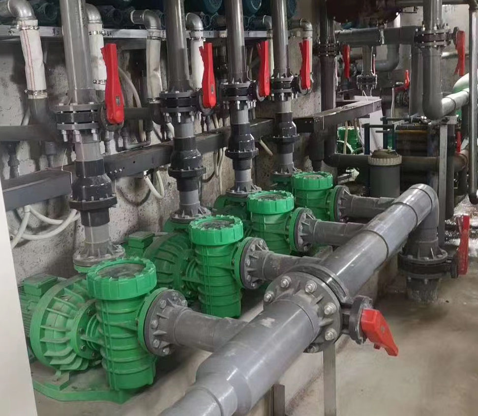 如何维修泳池水泵的常见故障？