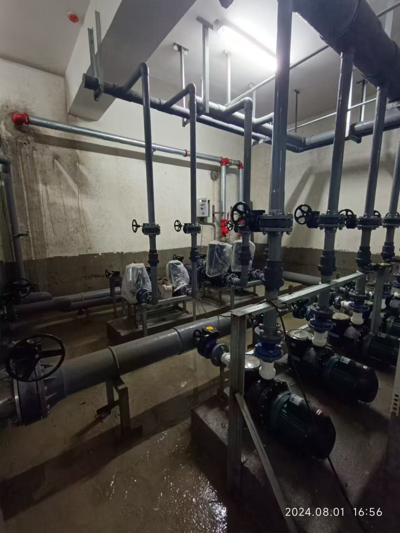 有哪些游泳池水质处理设备？